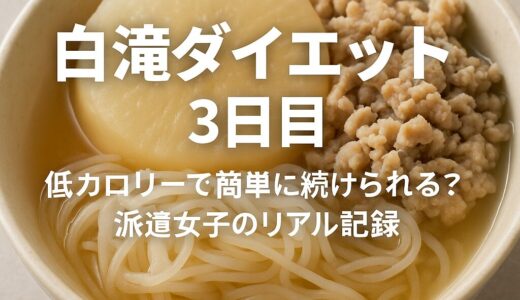 白滝ダイエット3日目｜低カロリーで簡単に続けられる？派遣女子のリアル記録